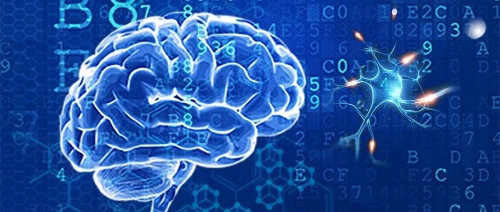 88天見(jiàn)證| AI賦能爆破1000萬(wàn)，醫真AI+生態(tài)初露鋒芒